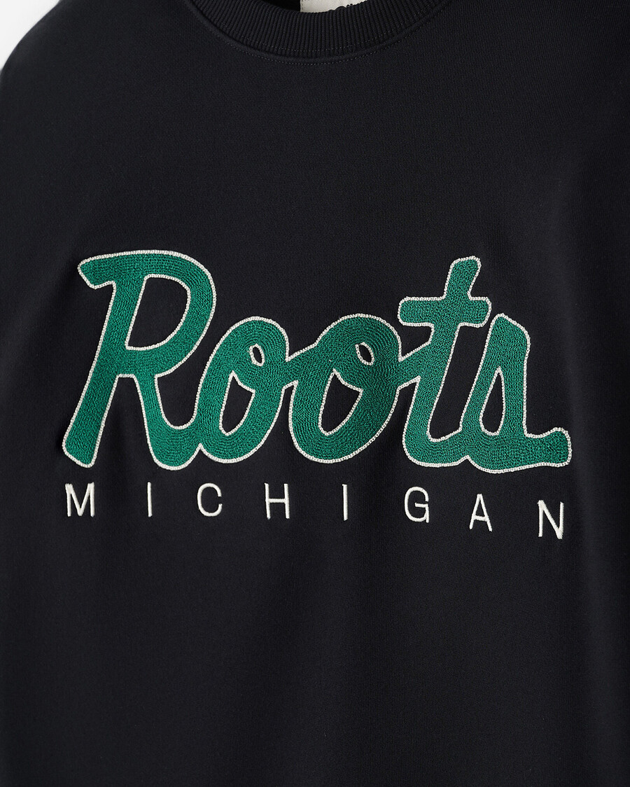 équipe locale des racines du michigan