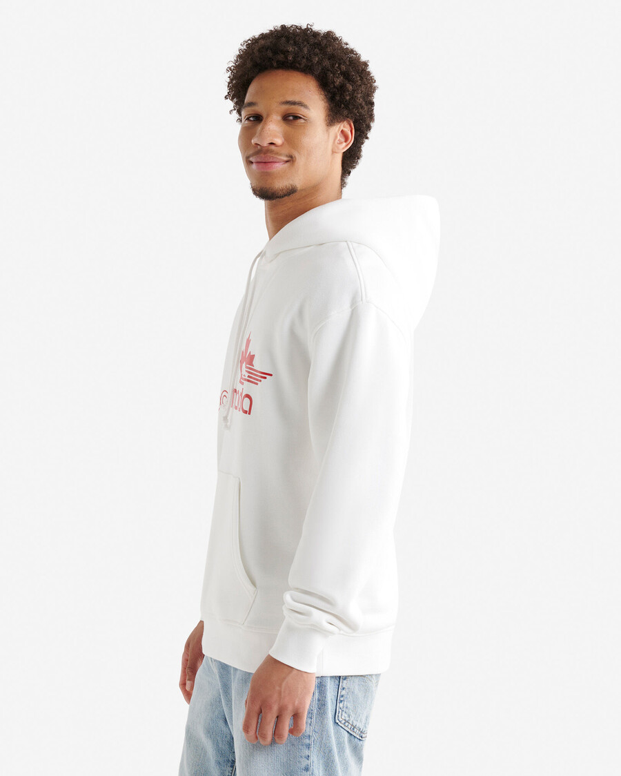 sweat à capuche northern athletics
