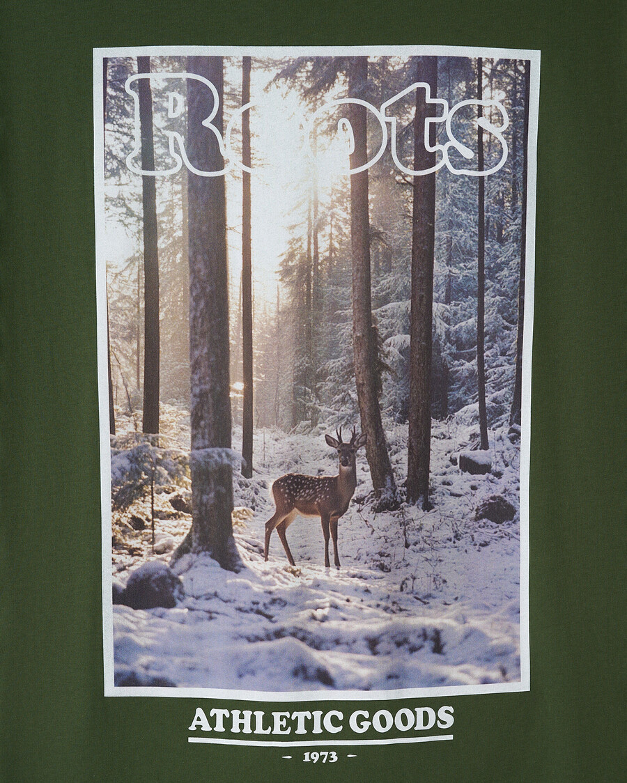 t-shirt homme northern wild