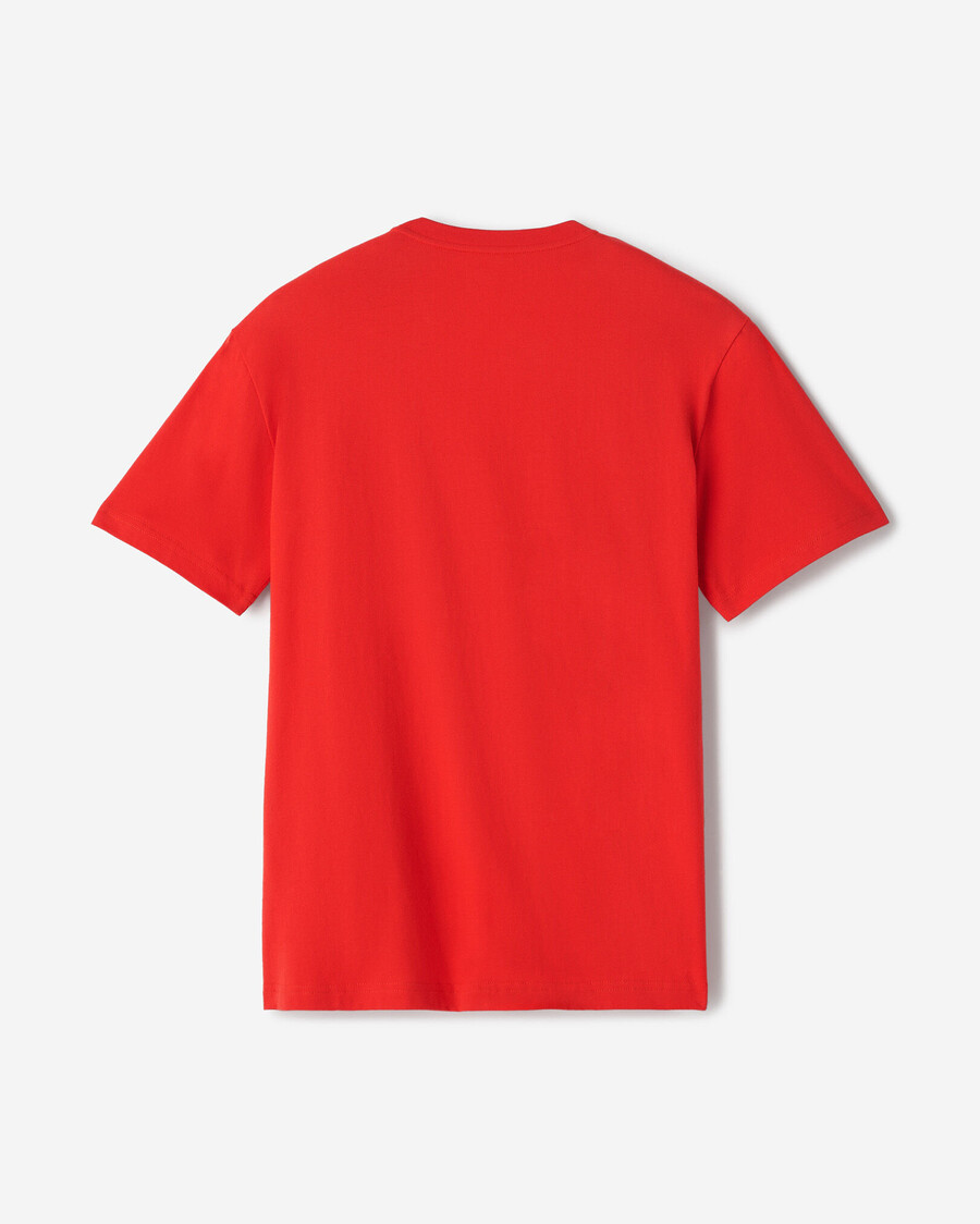t-shirt northern roots